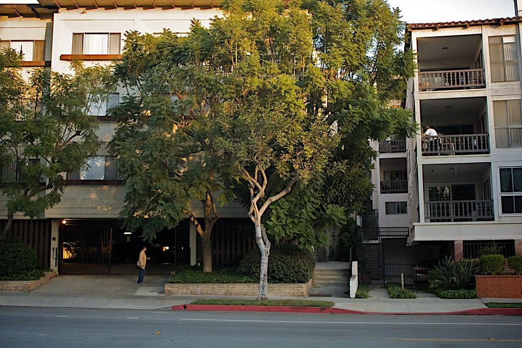 Culver City's Growth Decisions: How Past Policies Shape Future Development